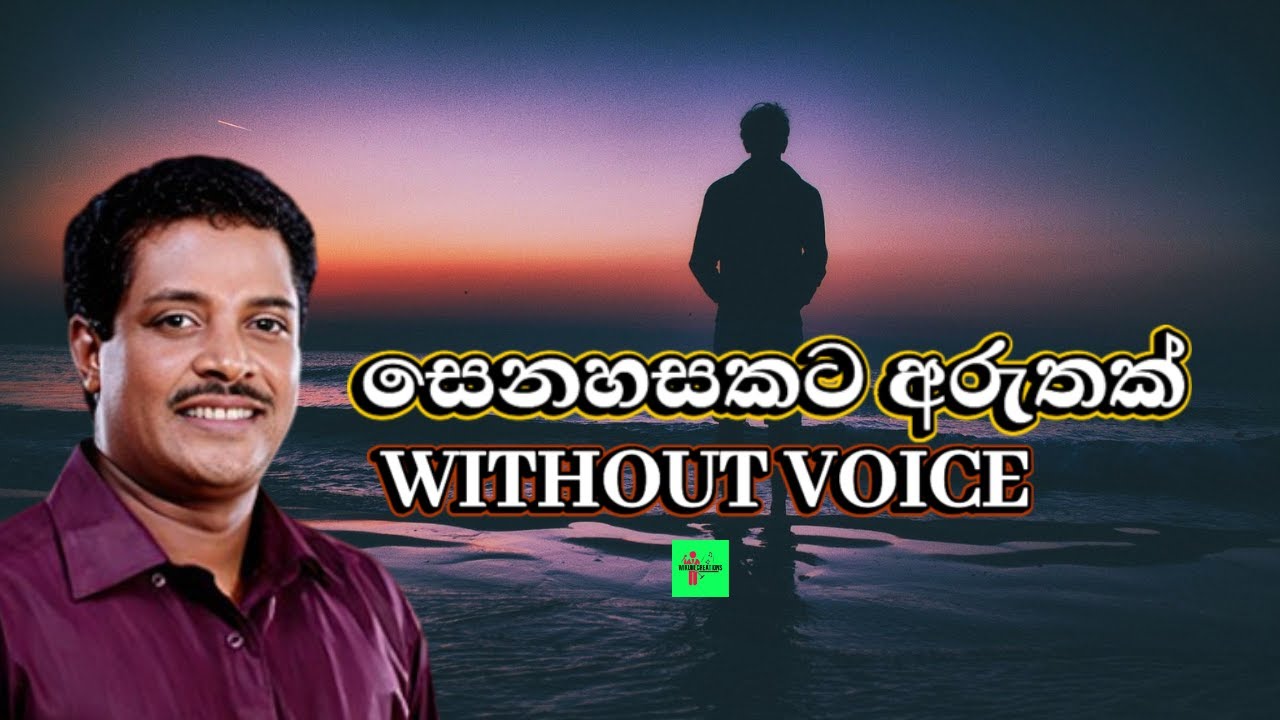 Senehasakata Aruthak Karaoke