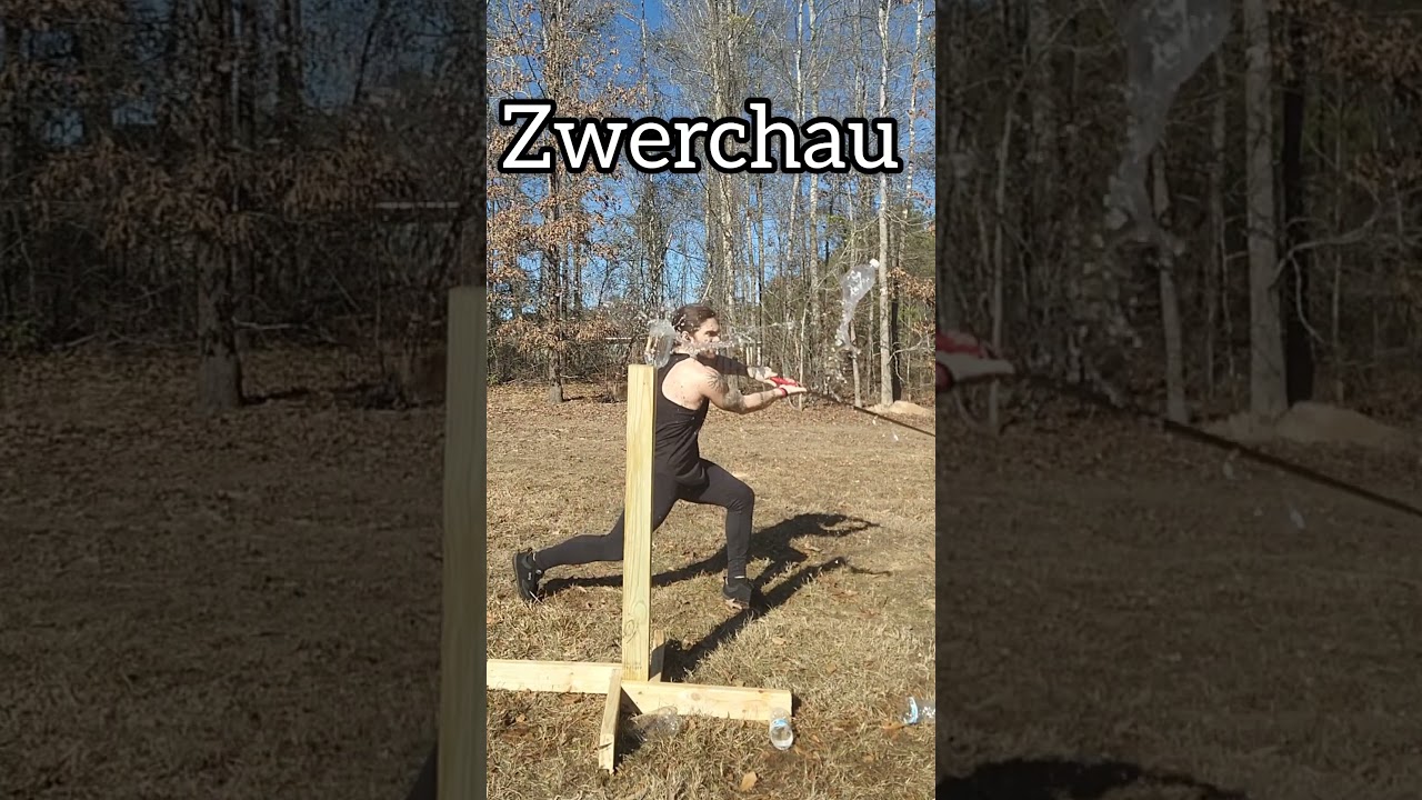 Zwerchau: German Longsword Technique #sword #HEMA #shorts