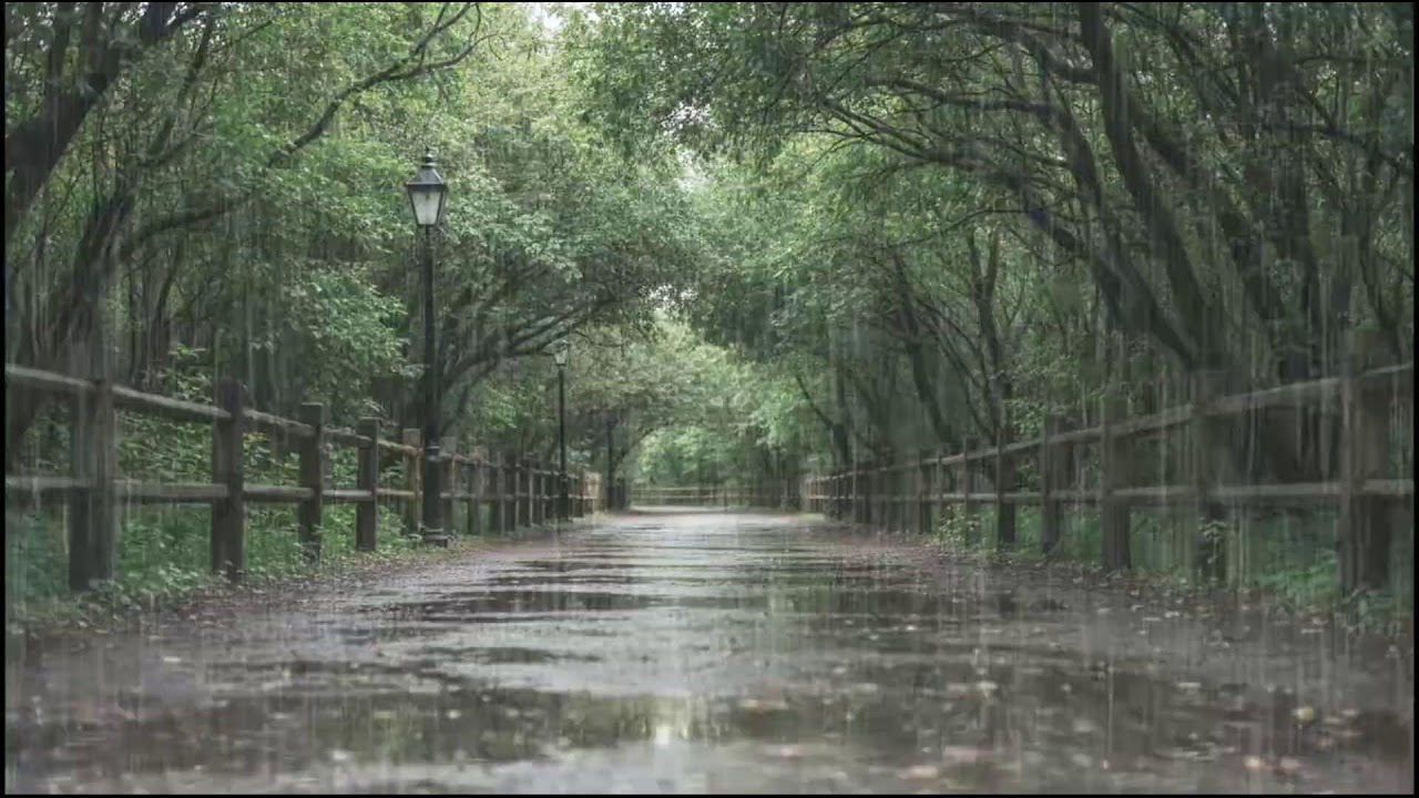 Relaxing Forest Rain at Dusk | Ambient Leaf and Rain Sounds to Help You Sleep Better Naturally