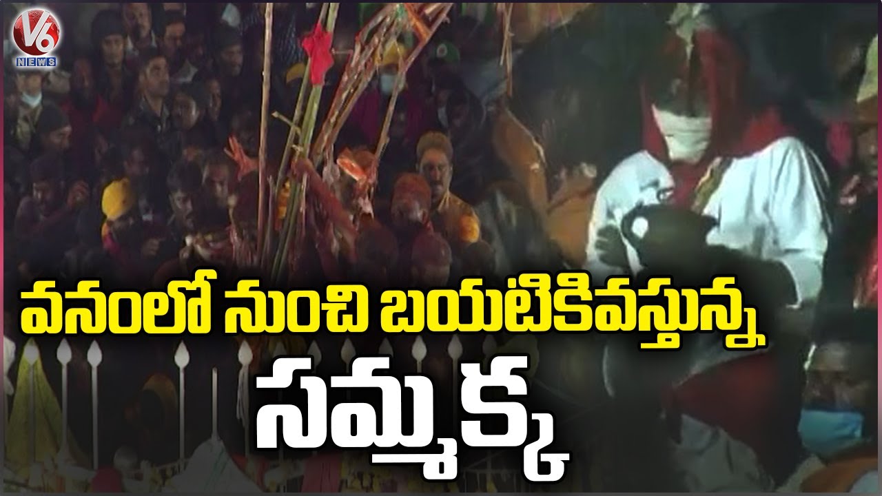 Priest  Prayers To Sammakka At Chilakalagutta | Medaram Jatara 2024 | V6 News