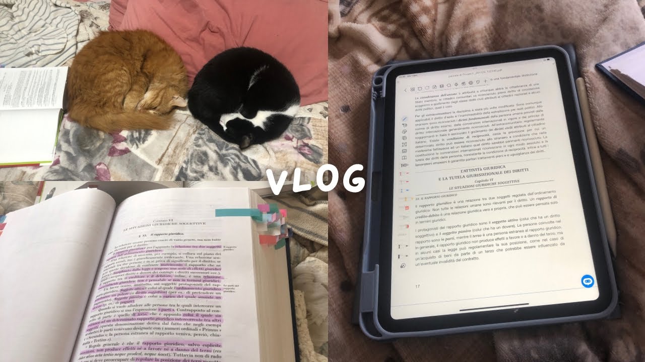 VLOG primo gennaio, torniamo alla routine 📚