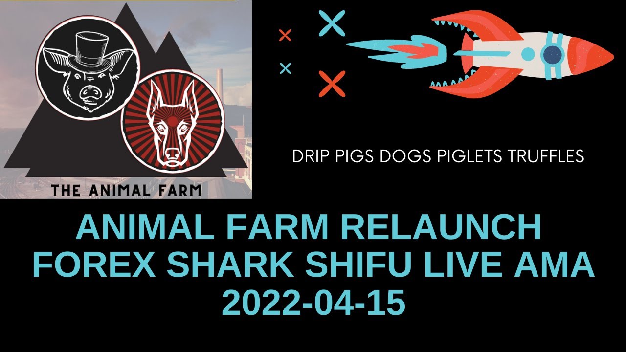 FOREX SHARK SHIFU AMA REGARDING ANIMAL FARM PIGGY BANK RELAUNCH (PIGS CREDITS) - Drip Network