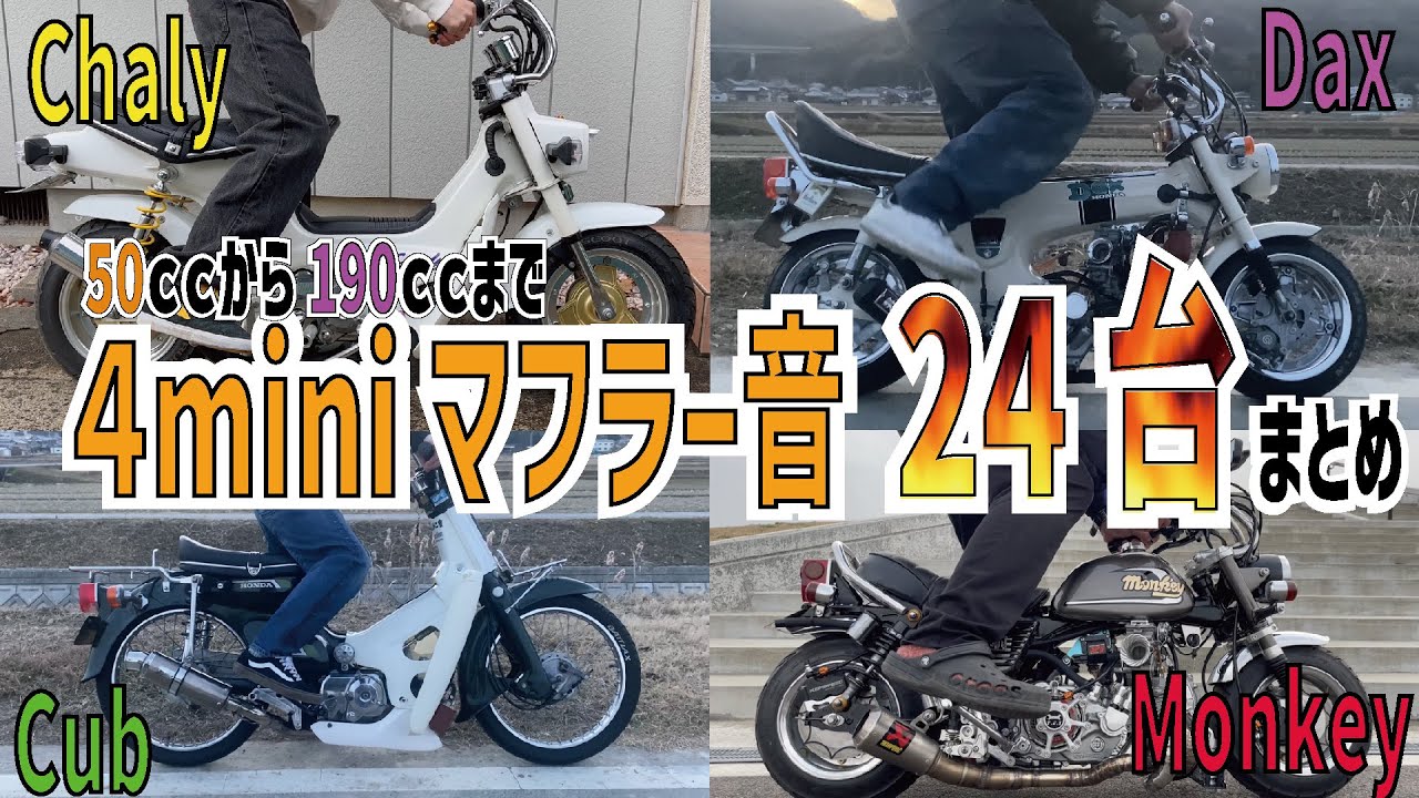【4mini】190ccも！？モンキーやシャリーのマフラー音まとめ　#原付 #カスタム #ダックス ＃武川