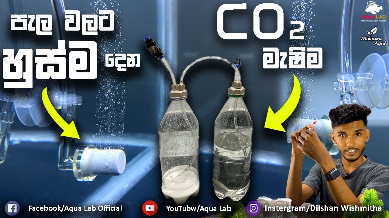 How to make DIY CO2 System. ලේසියෙන්ම හදාගමු !