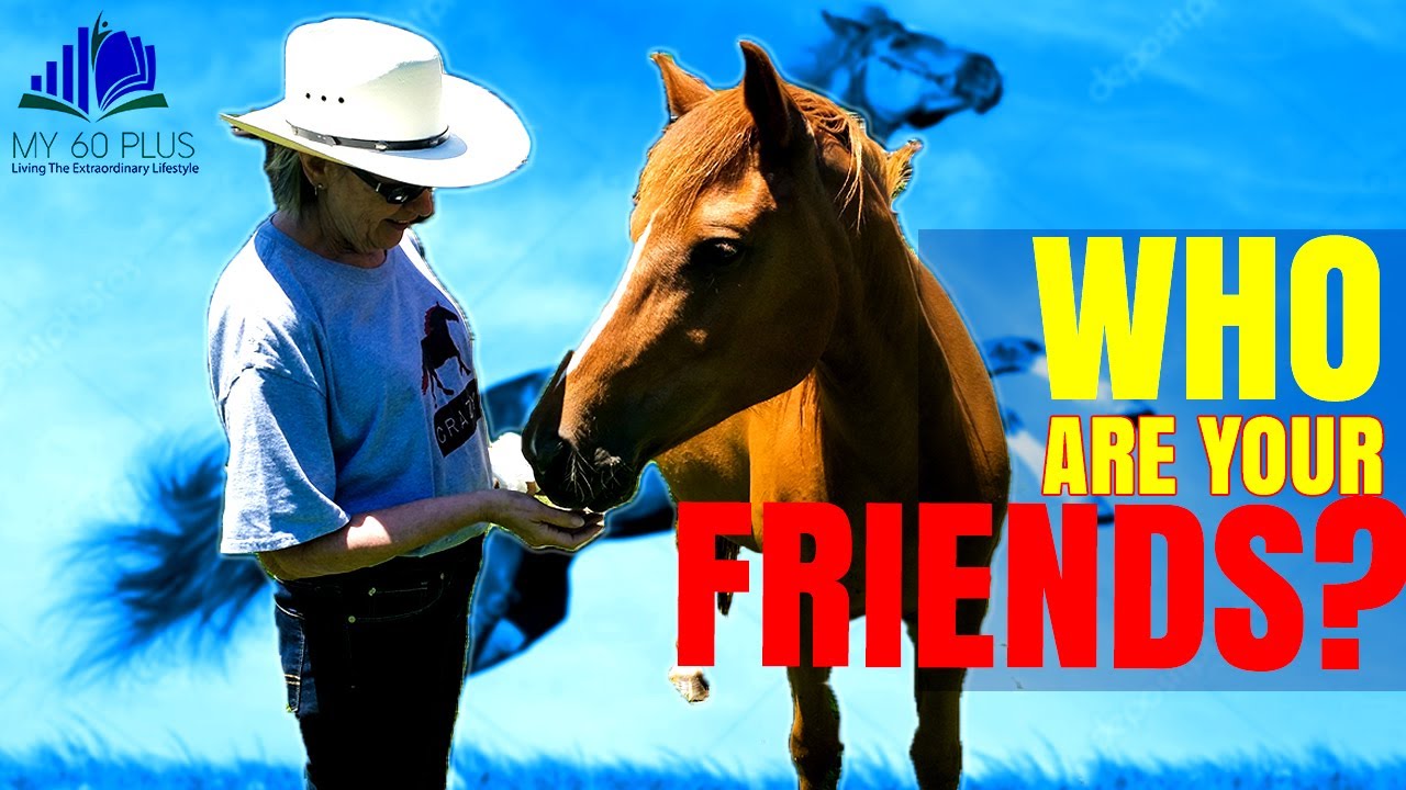 Missouri State Fair Draft Horses on Exhibition - Teamsters Team Sedalia, Missouri