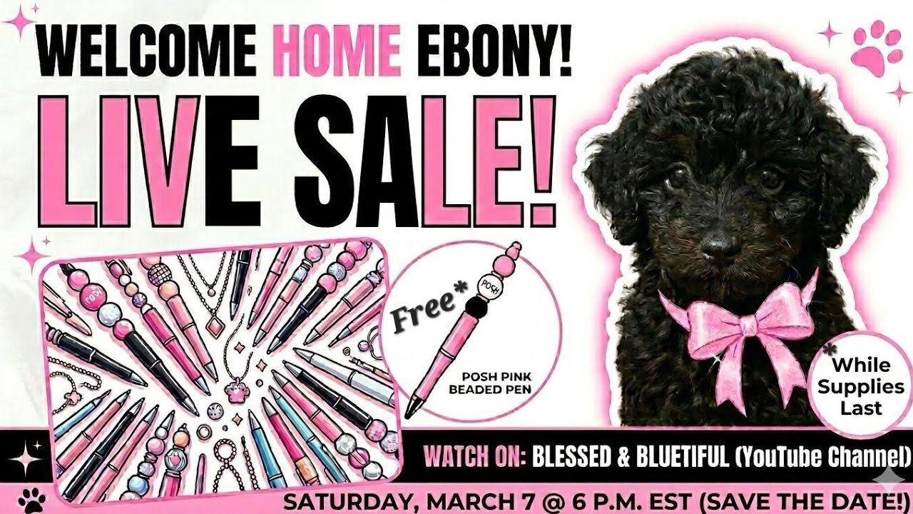 Welcome Home Ebony LIVE SALE