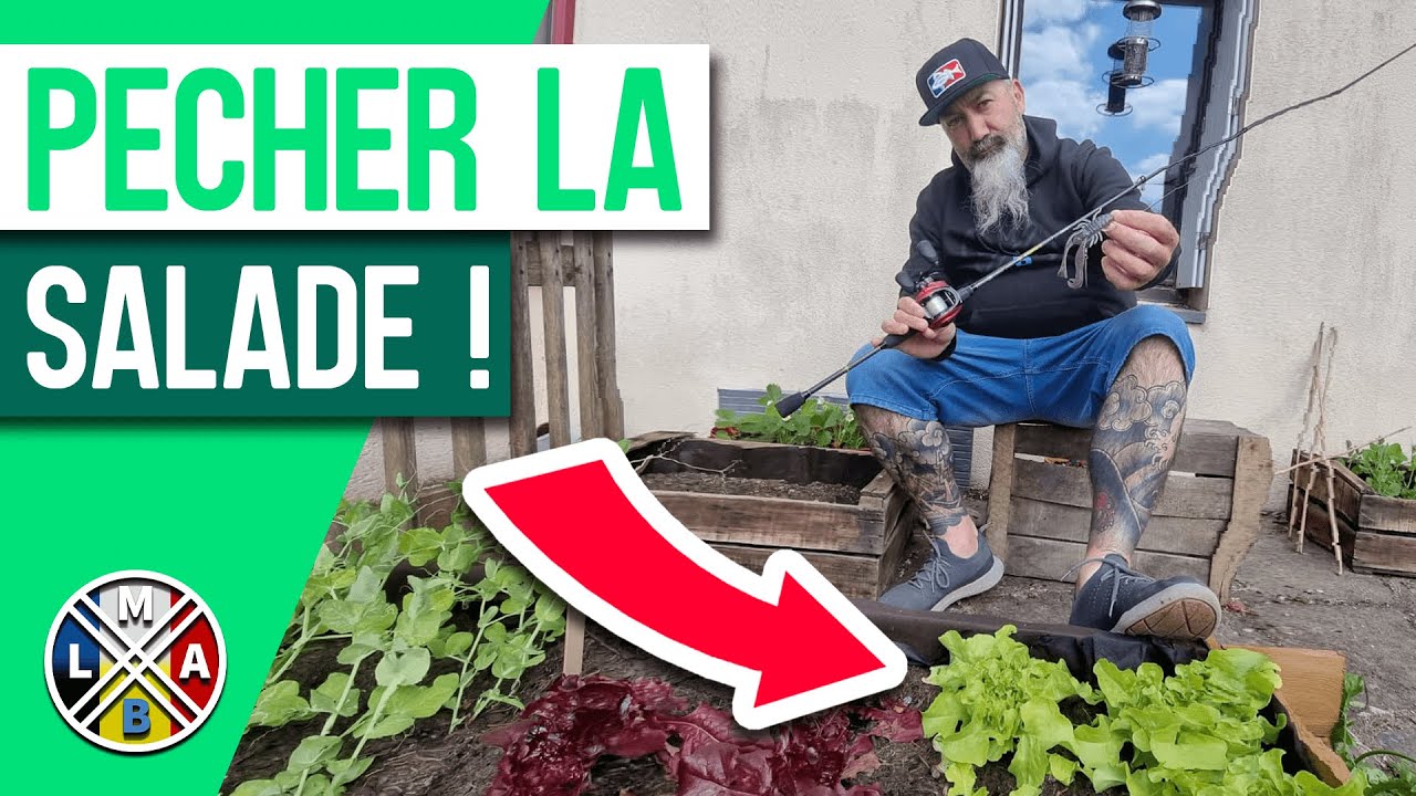 Comment pêcher dans les HERBIERS ?!