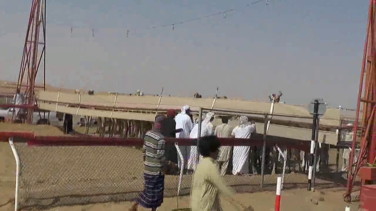 ميدان الجبيب للهجن 29/3/2019 الشوط1(مخلاب)عبدالله بن رغش بن طبازه