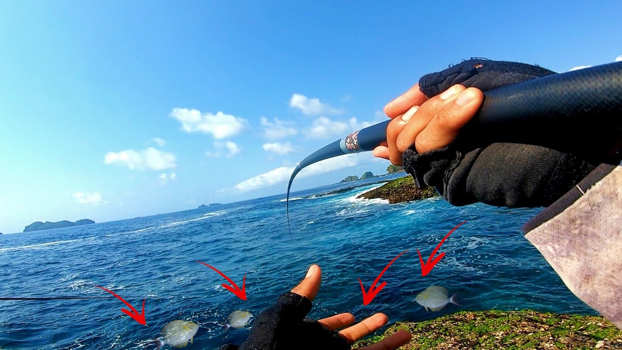 ASLI KETAGIHAN, MANCING BARONANG PAKAI JORAN TEGEK || MANCING PINGGIRAN LAUT