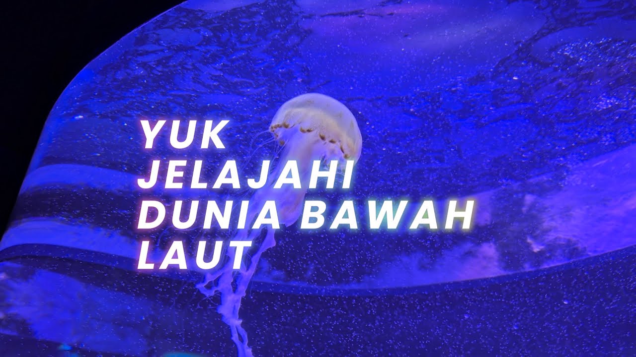 BXSea: Jelajahi Petualangan Bawah Laut dan Exotic Rainforest #bxsea #liburankeluarga #oceanarium