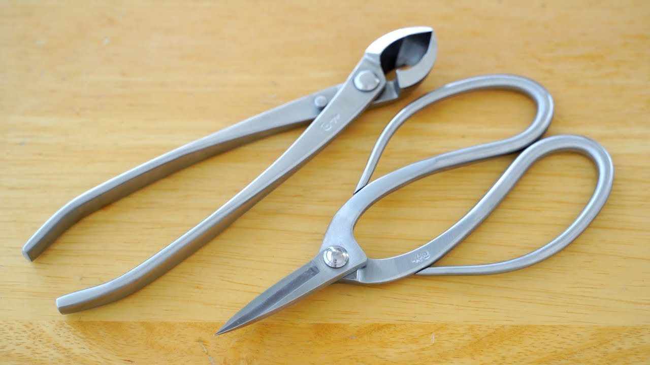 Best Budget Bonsai Tools? ✂️ Tian Root Scissors & Hybrid Concave Cutters [ASMR]