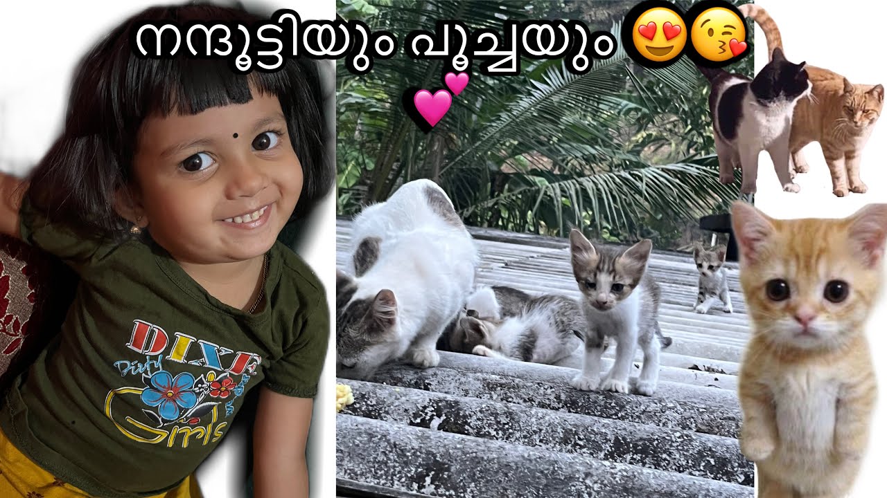 നന്ദൂട്ടിയും പൂച്ചയും 😘😍😂 #youtube #minivlog #cutelove