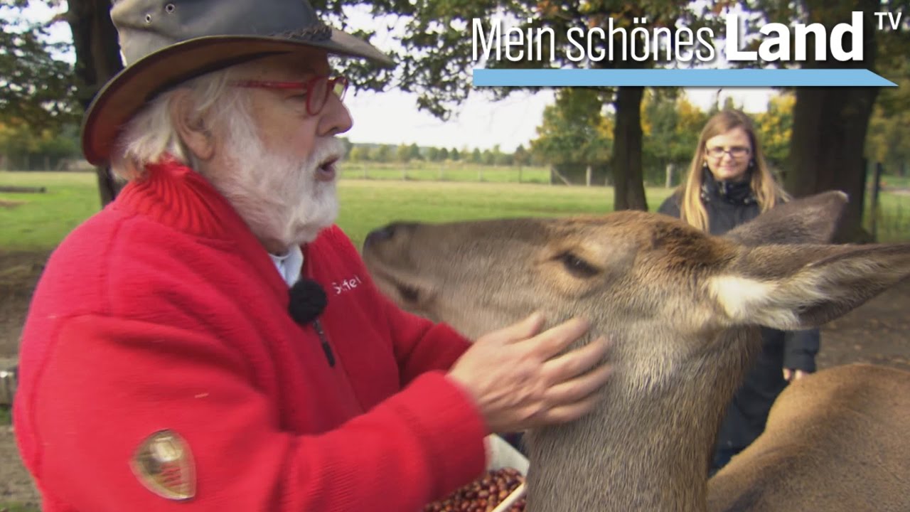 Spätherbst - die schönsten Höfe Norddeutschlands (NDR)