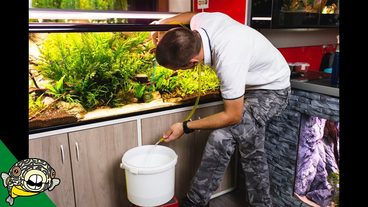 Why do YOU change water?