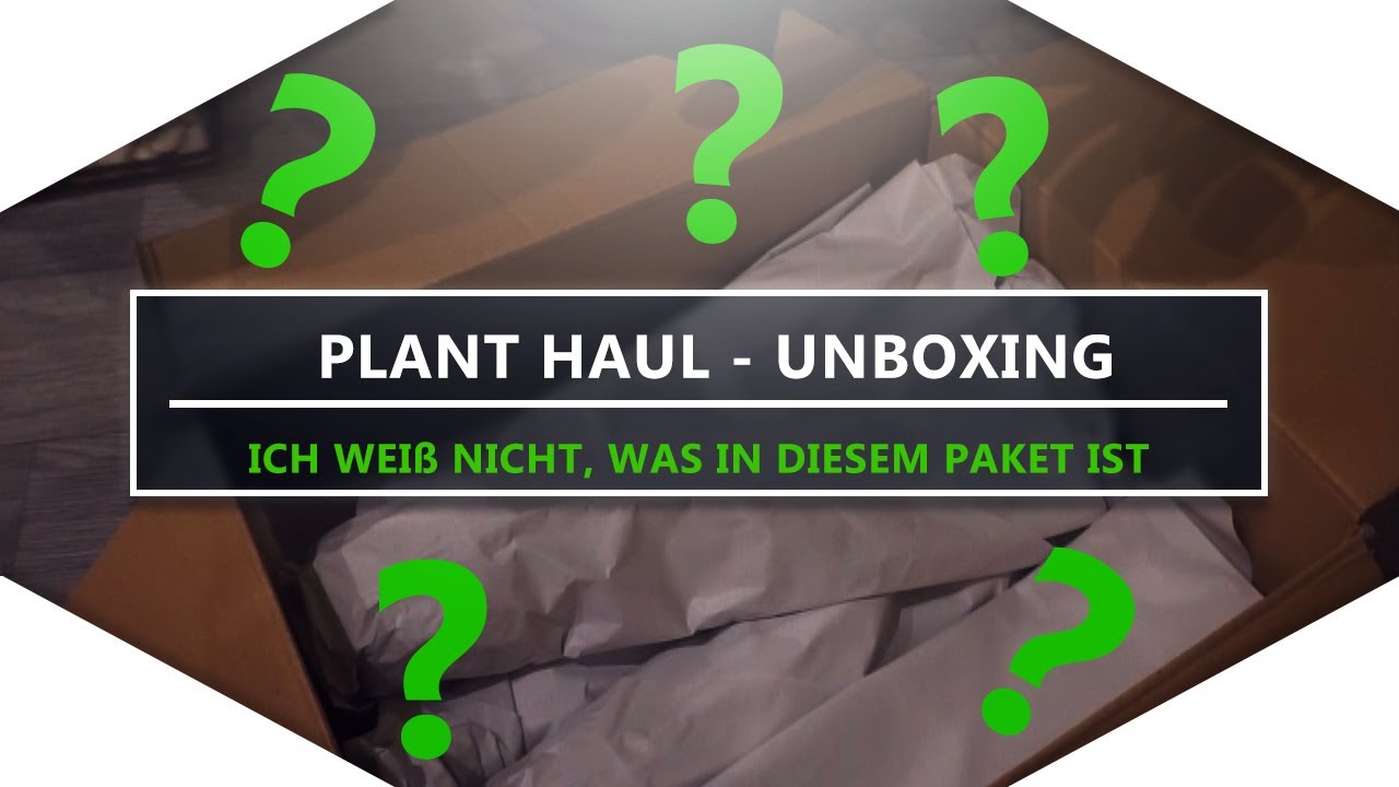 Mein Freund hat OHNE mich Pflanzen bestellt | Plant Haul | Unboxing