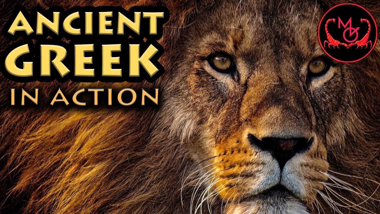 OLD SERIES | Ancient Greek: 3rd Declension Nouns | Ancient Greek in Action! ep.5