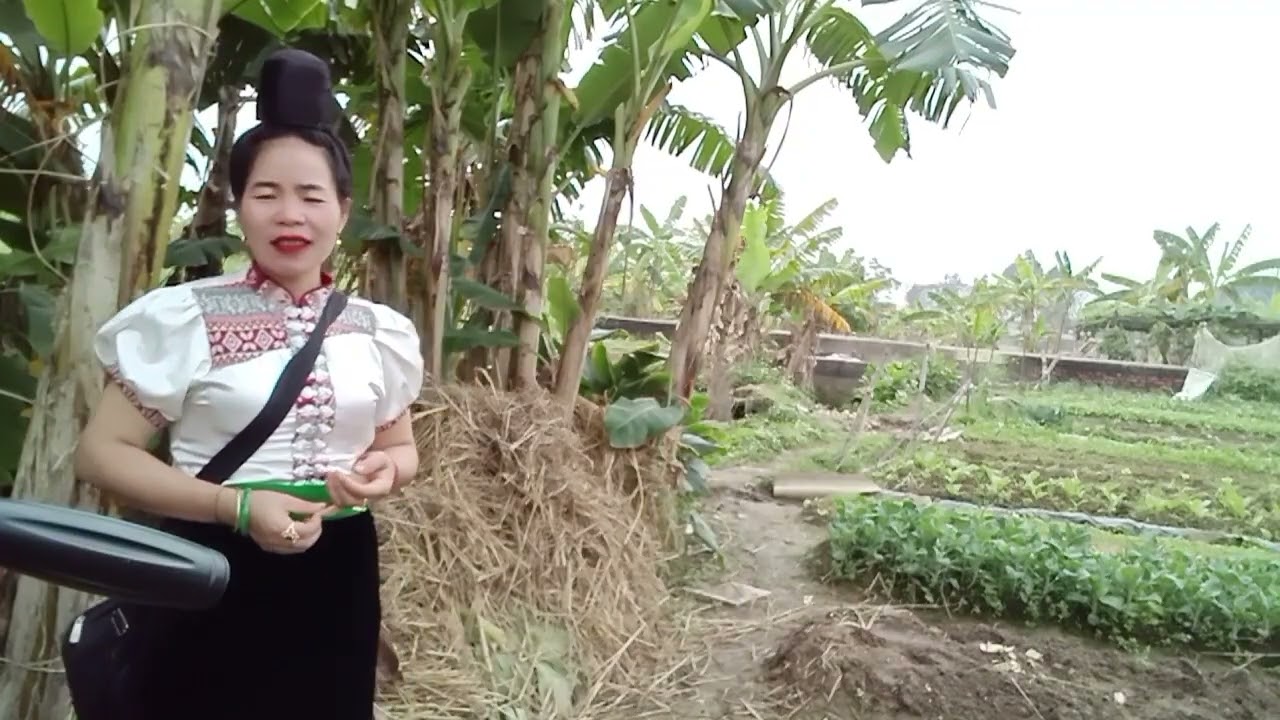 Cả nhà ủng hộ kênh nhé xin cảm ơn 