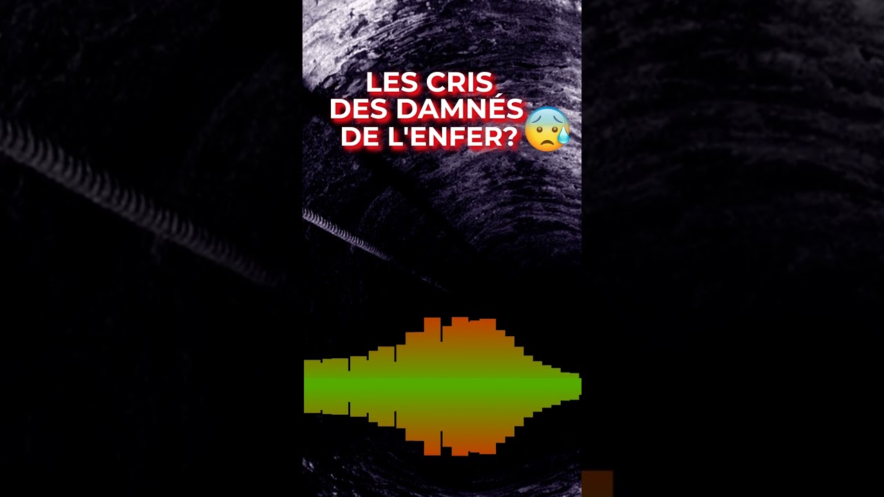 Les cris des damn&eacute;s de l'enfer?