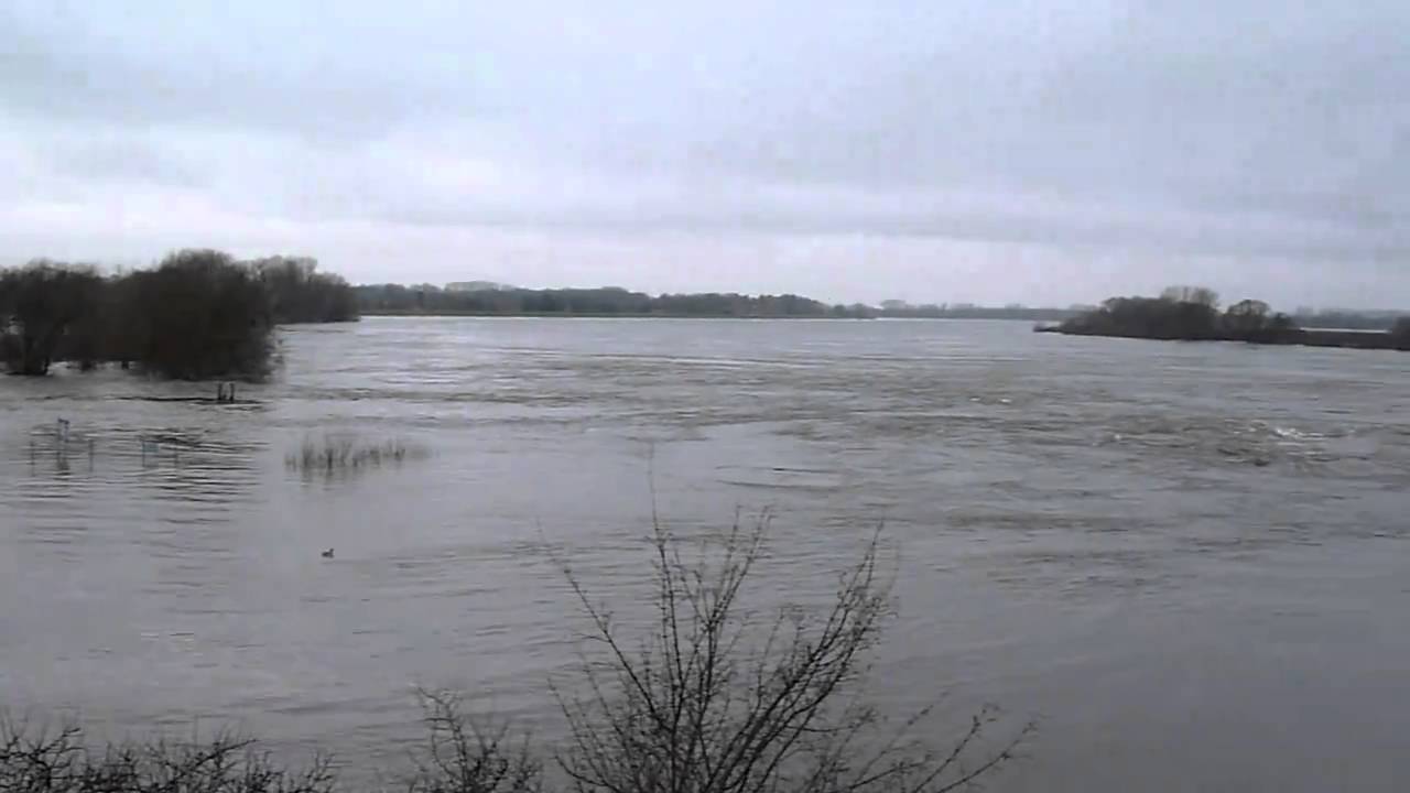 Elbehochwasser in Geesthacht und Stover Strand 23.01.2011