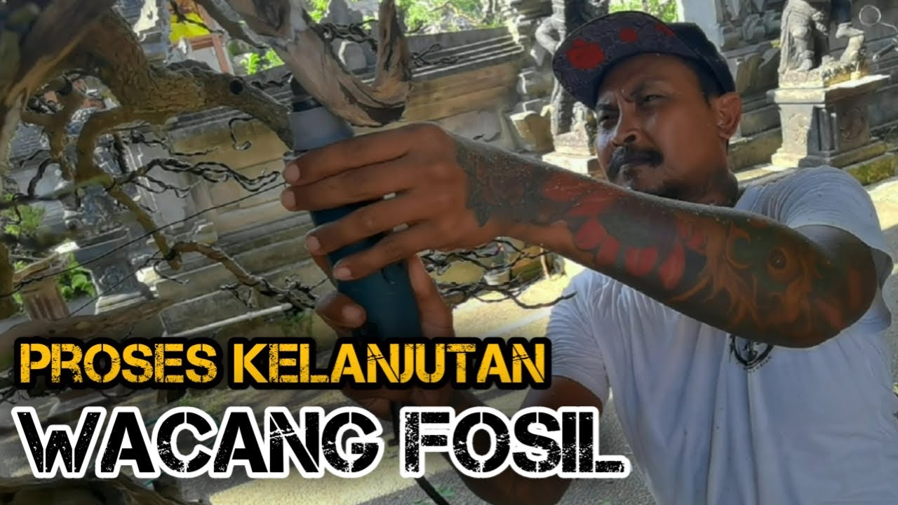PROSES KELANJUTAN SETELAH SATU TAHUN BONSAI WACANG #bonsaiindonesia #bonsaielement #bonsaiwacang