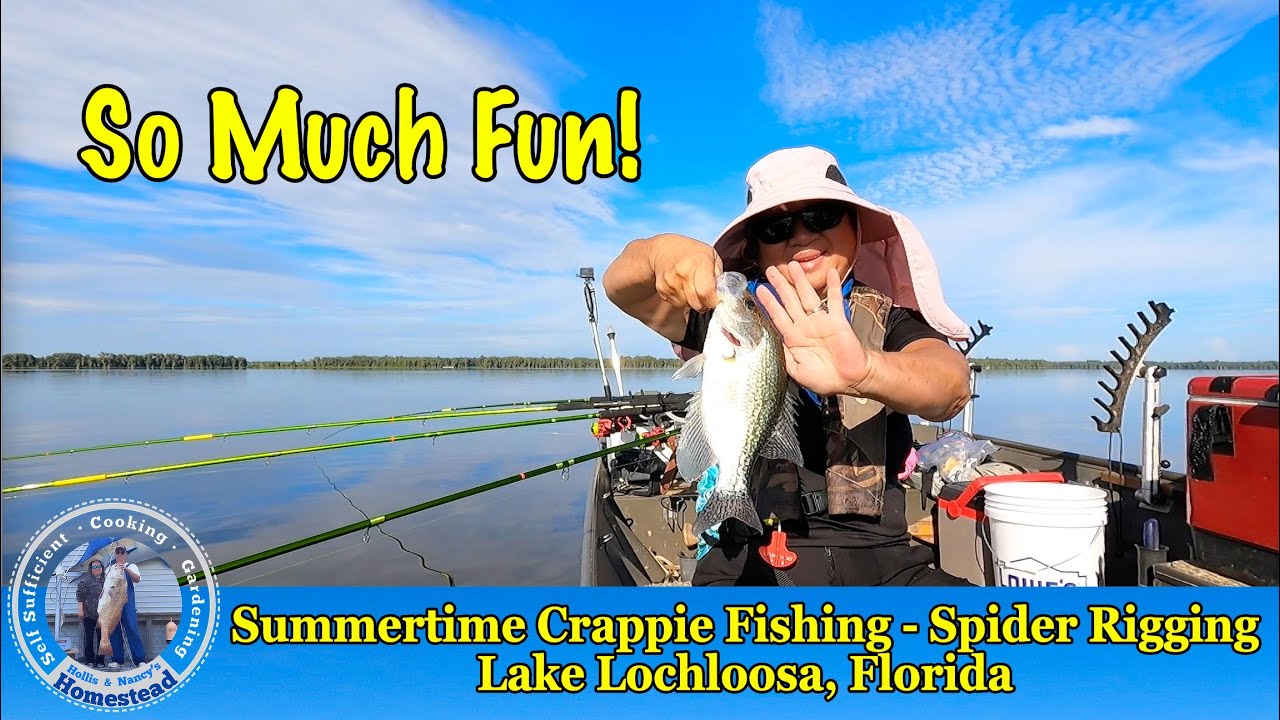 Summertime Crappie Fishing with Spider Rigging on Lake Lochloosa, Florida