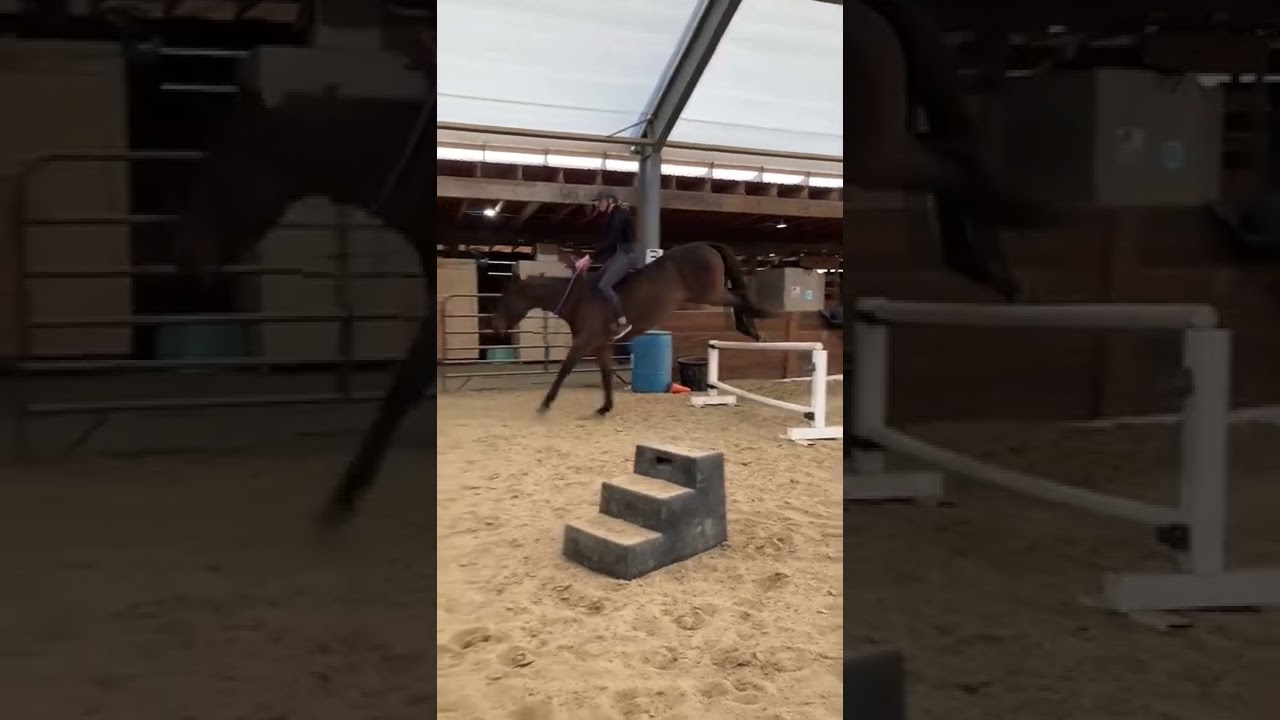 JUMPING TACKLESS ✈️ 