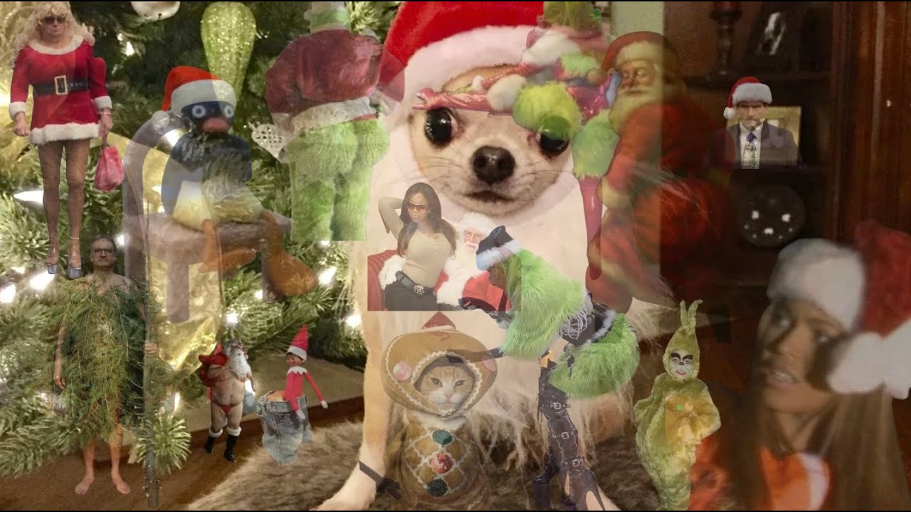 videos i selectively cultivated for you ho ho ho's