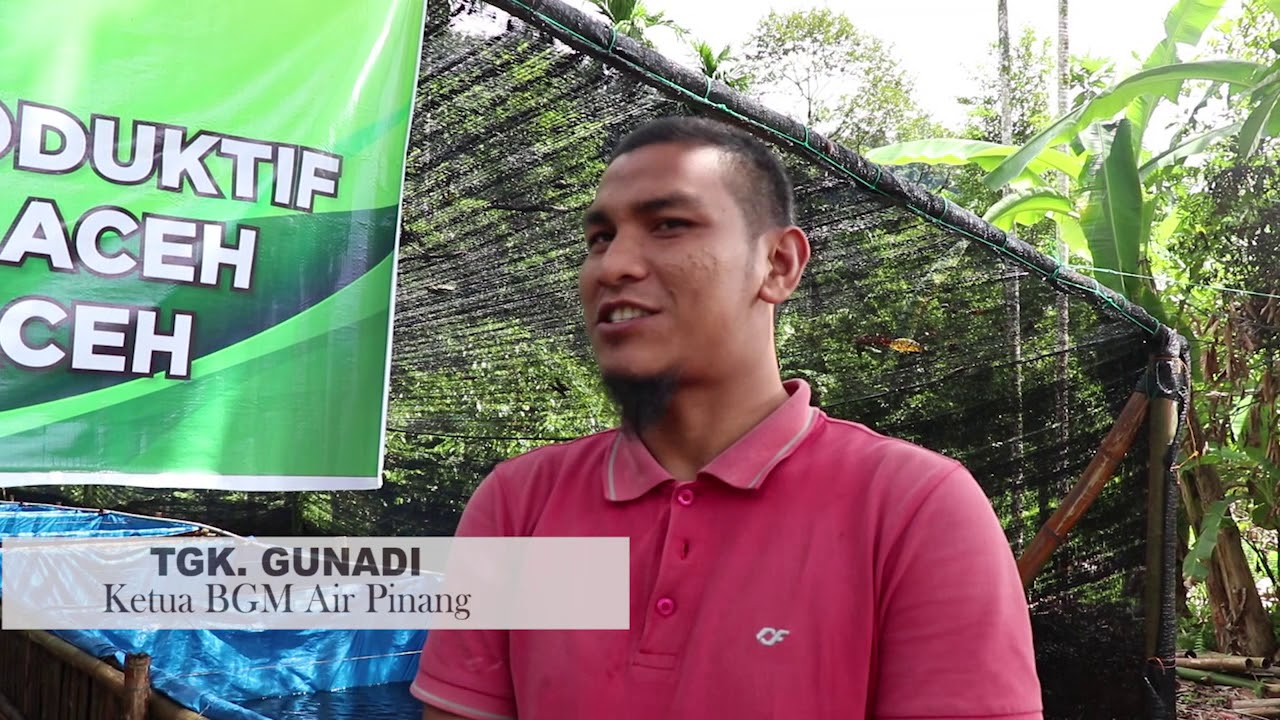 Budi Daya Lele Binaan Baitul Mal Aceh