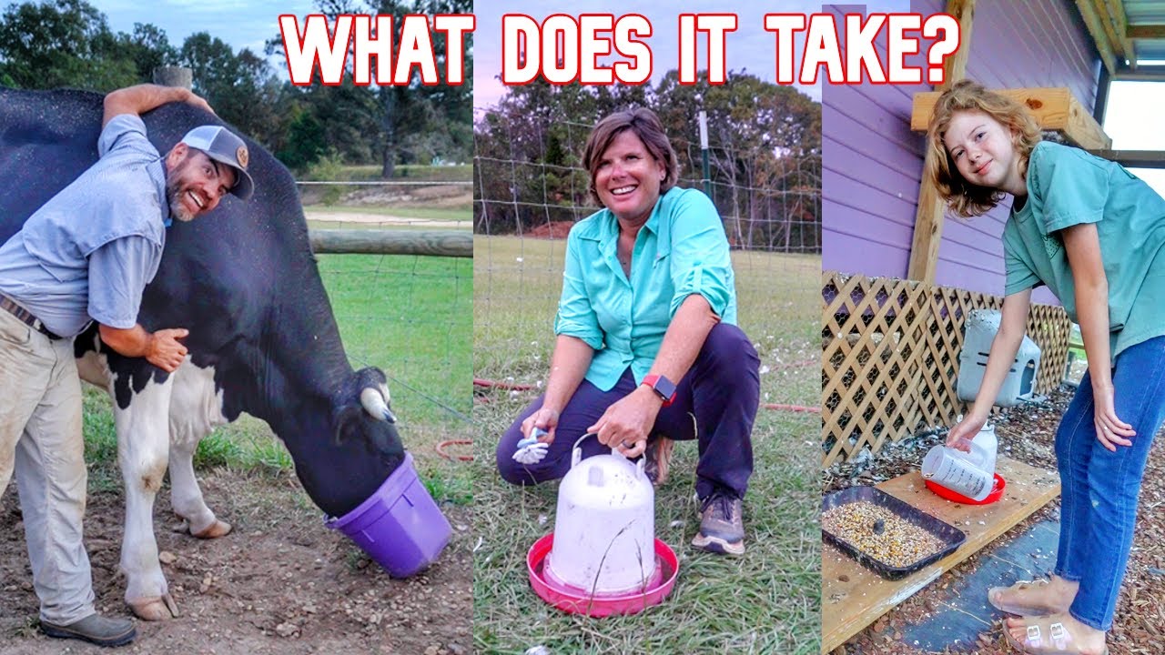 It May Surprise You At What Our Farm Mornings Look Like (In Depth Look)
