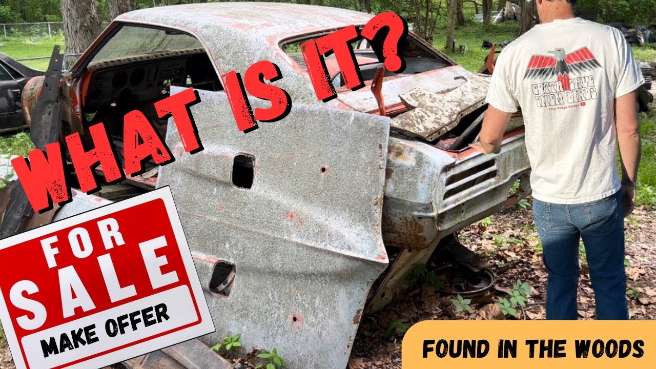 Abandoned Firebirds in the Woods: How Much Are They Worth?