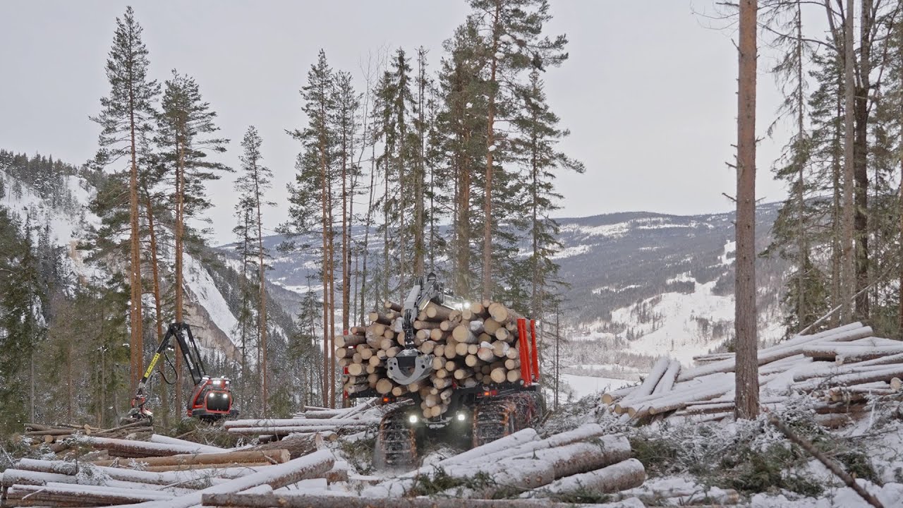 Creating value together - Precision and Partnership in Norway (SE)