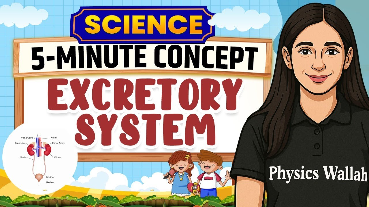 Learn Excretory System in 5 mins  | Science For Class 6th to Class 8th