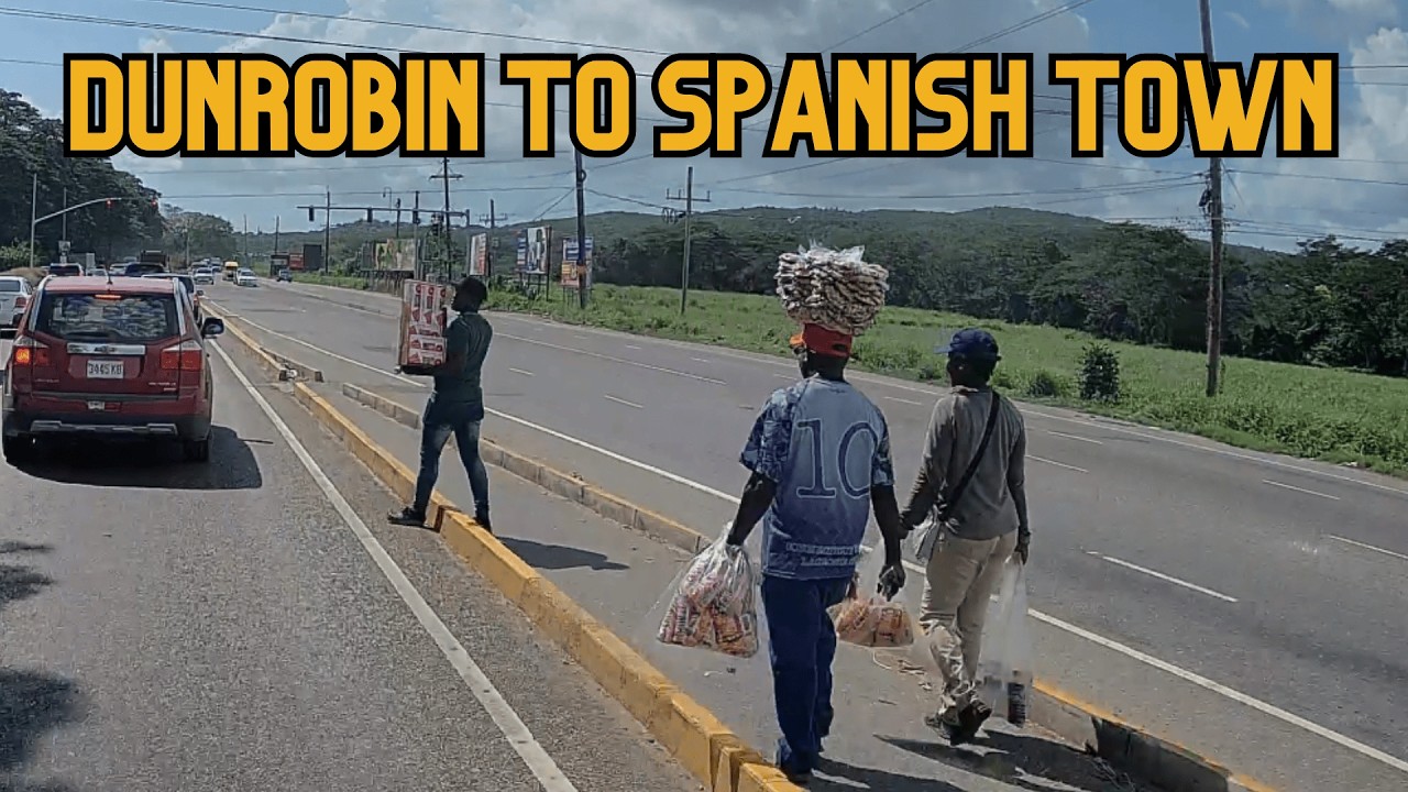 Как добраться до Спэниш-Тауна с Данробин-авеню | 876 By Birth