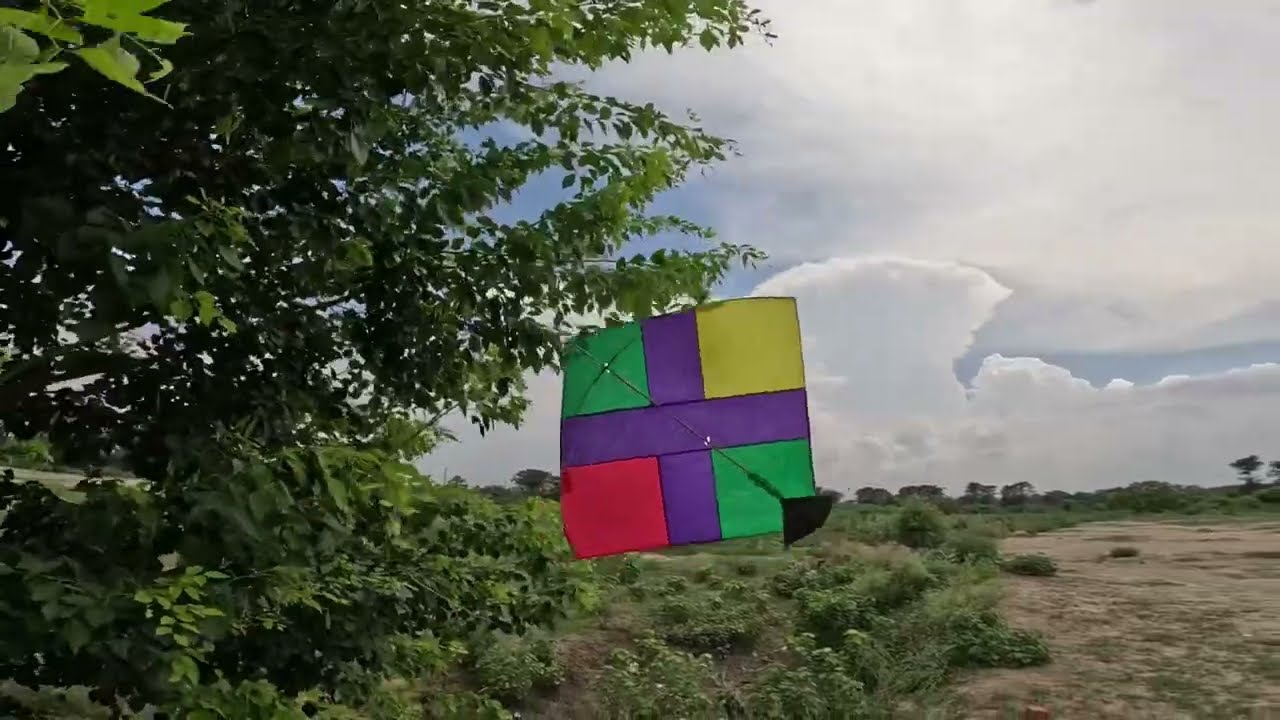 Kite looting on 🌳 | kite catching on ground 🪁 Patang looti | kite 