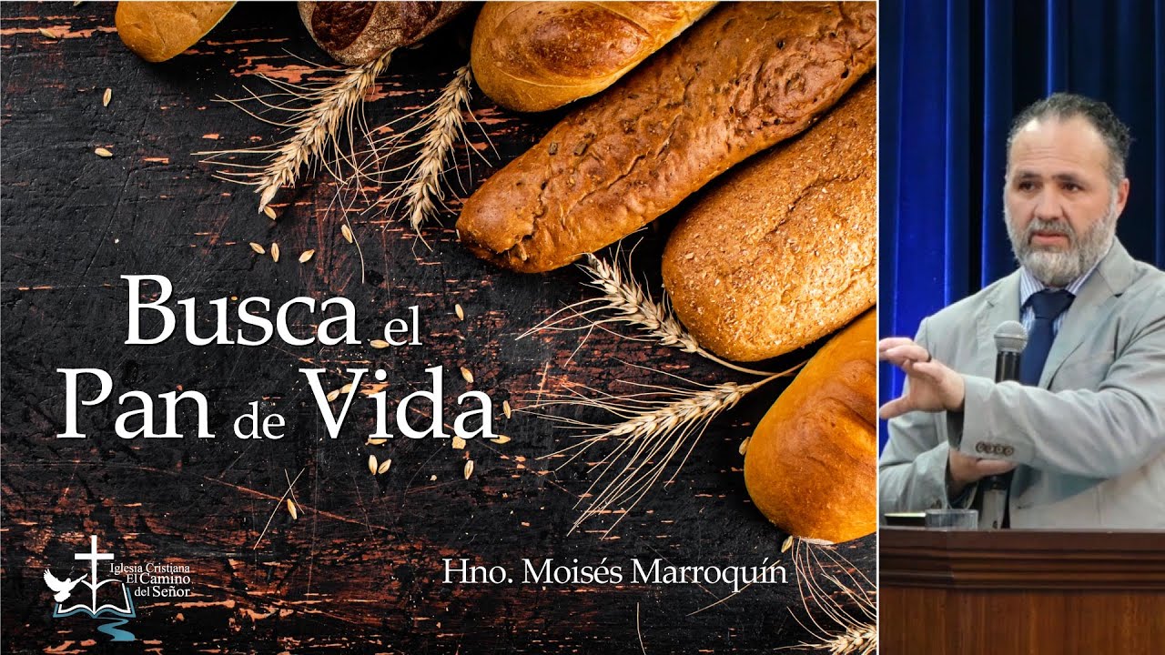 Busca el Pan de Vida - Hno. Mois&eacute;s Marroqu&iacute;n - Dom 30 Abr