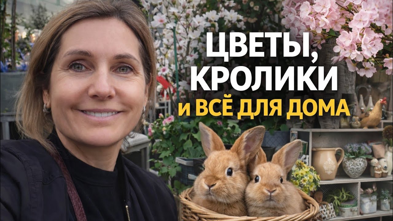 Купила землю в Швейцарии | садовый цент Франции| идея ужина 