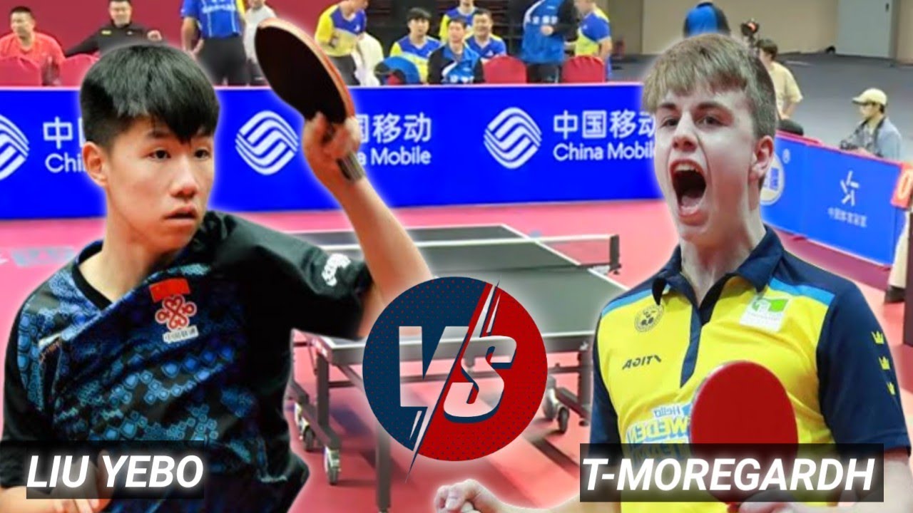 Truls Moregardh vs Liu Yebo China Super 23/24 League