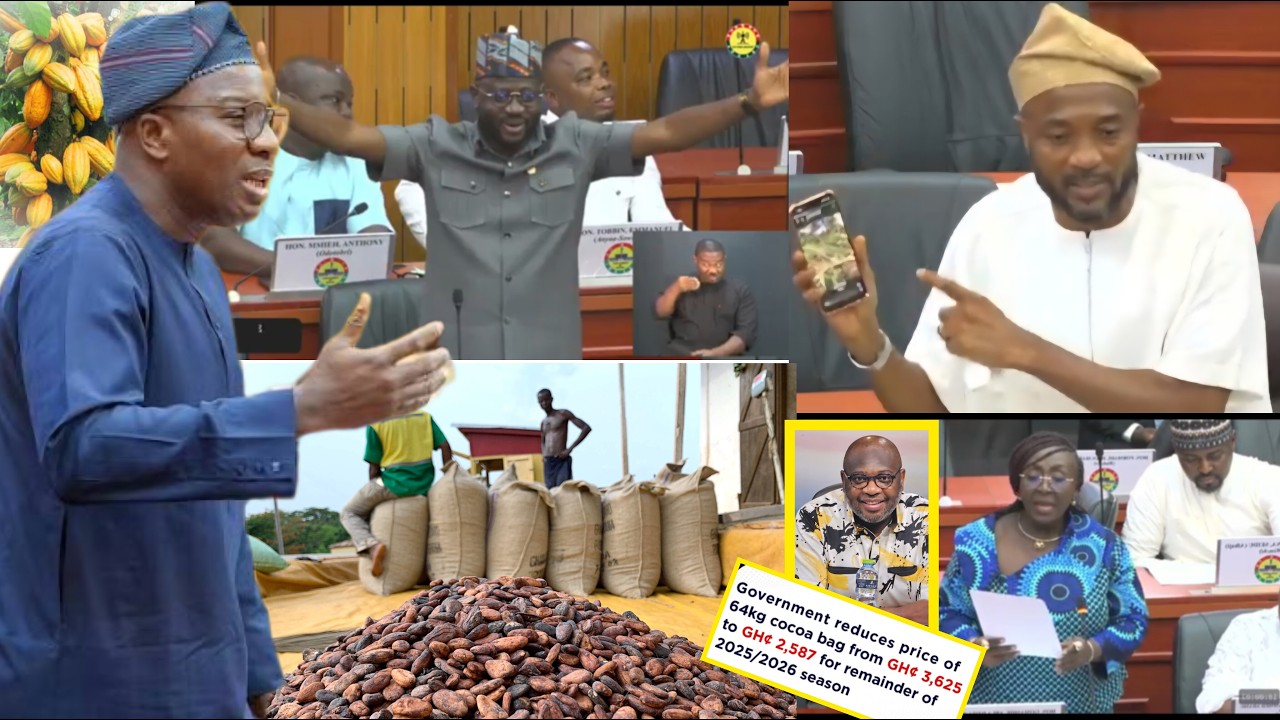 🫵💥🤣Herrh, Asafo Adjei & his Minority Rejected CHOCOLATE bcus of Cocoa Price Reduction  #jeffmelgh