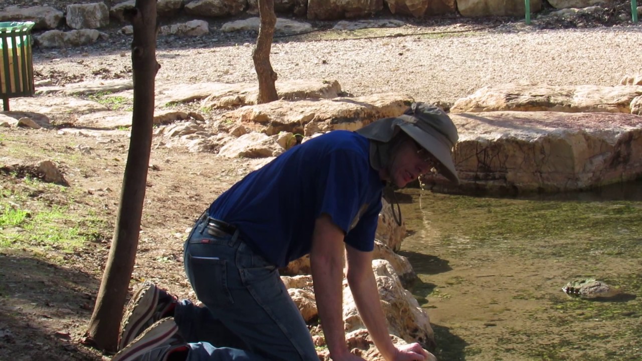 Harod Spring in Israel-God had Gideon Choose His 300 Men