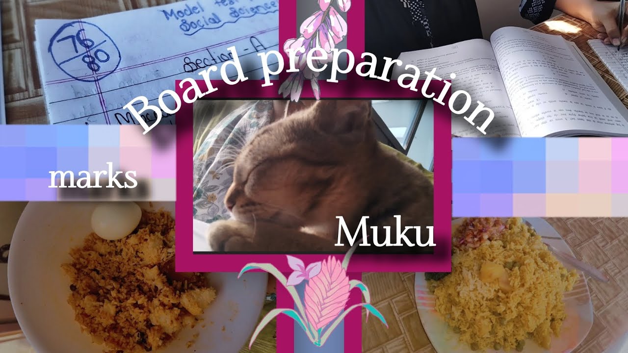 Board preparation | Muku | practicing question banks | 🍲 |