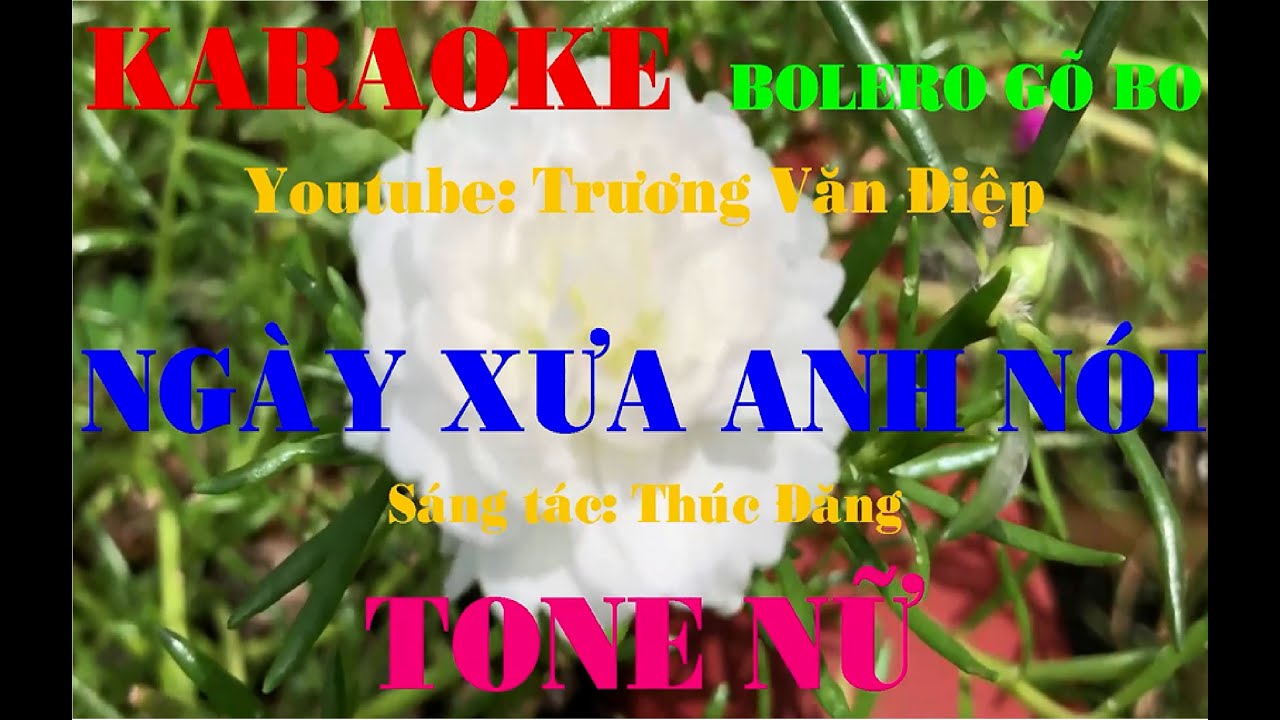 Karaoke Ngày Xưa Anh Nói Tone Nữ Gõ Bo | Trương Văn Điệp