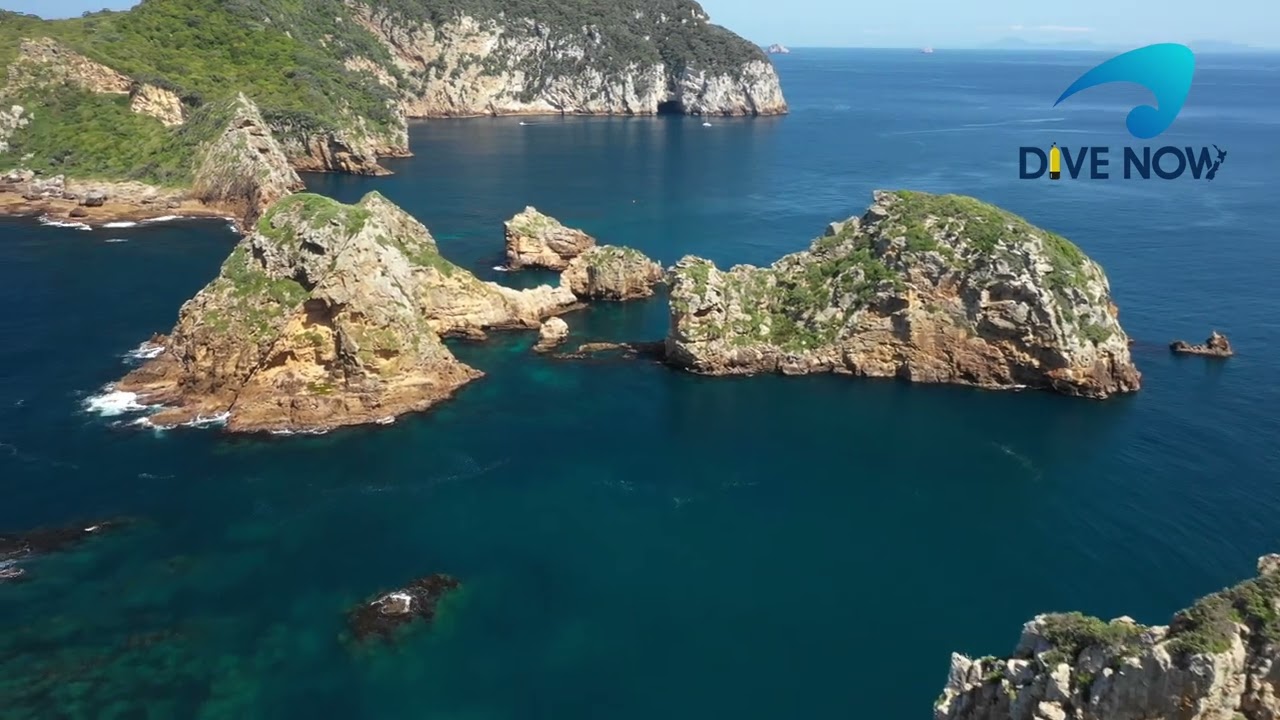 Poor Knights Marine Reserve Dive Sites from above.