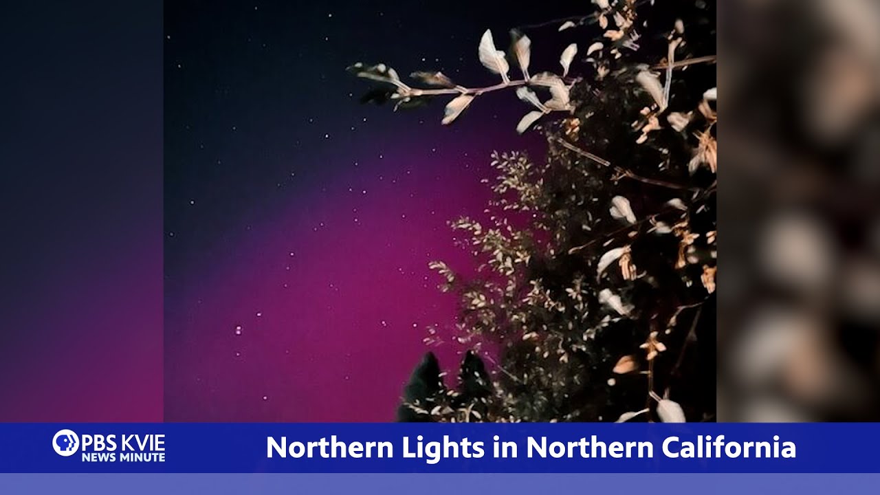 Новости PBS KVIE | 12 ноября 2025 г.