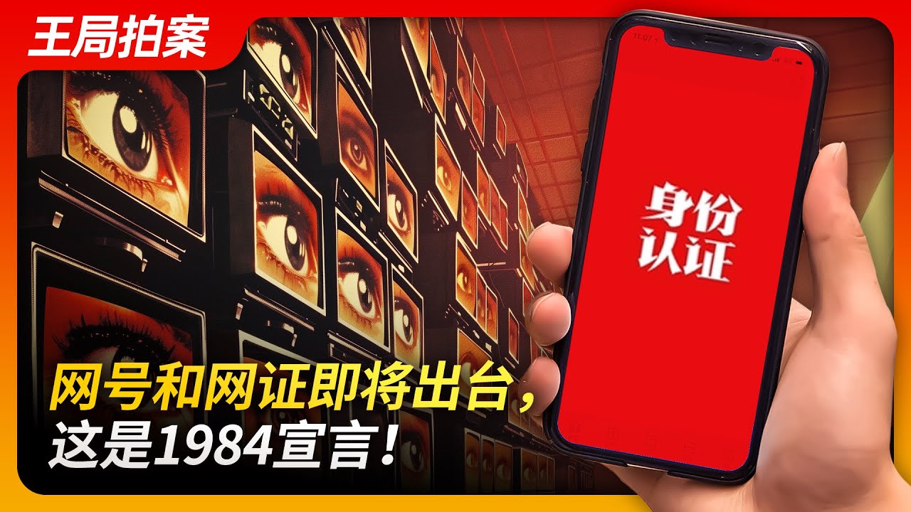 网号和网证即将出台，这是1984宣言！｜健康码｜网信办｜管控｜动物庄园｜实名制｜王局拍案20240801