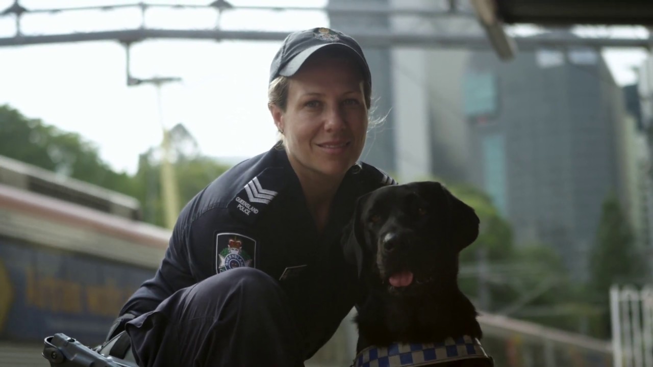 Dog Squad, Queensland Police Service