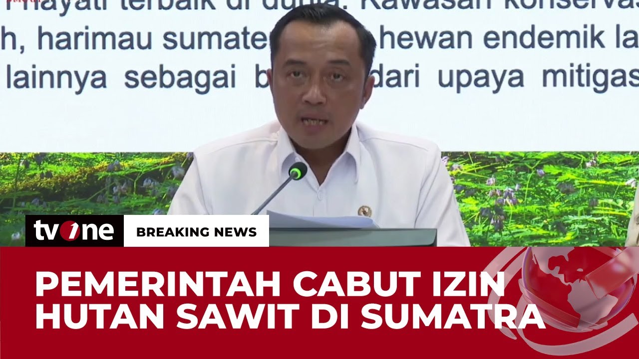 [BREAKING NEWS] Pencabutan Izin Lahan Sawit di Sumatra | tvOne