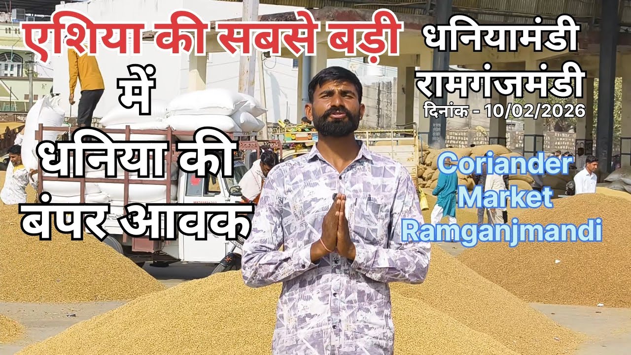 एशिया की सबसे बड़ी धनियामंडी रामगंजमंडी ।। धनिया की बंपर आवक ।। धनिया का भाव ।। धनियामंडी रामगंजमंडी