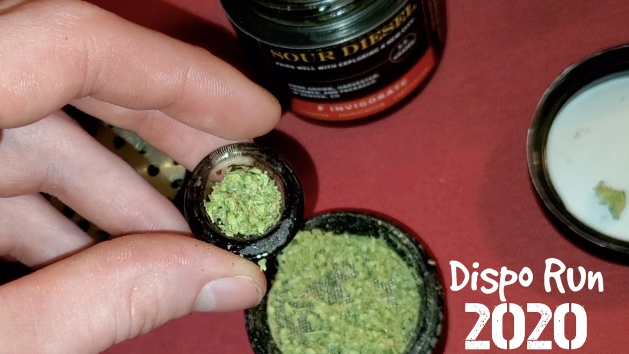 Sour Diesel Strain Review || Dispo Run & $10 Wax Review