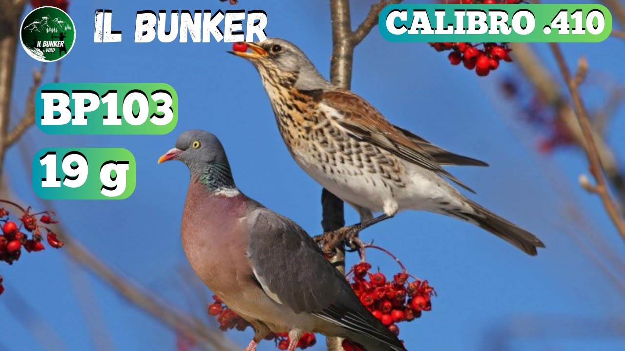 Calibro .410 cartuccia da caccia performante - BP103