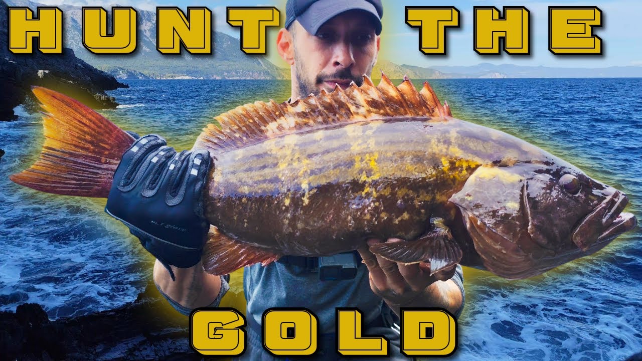 Shore Jigging & Spinning │ Το χρυσό STRIKE της ΣΤΗΡΑΣ ⚡ και τα ΝΤΑΣΚΑΚΙΑ του πρωτάρη! #grouper